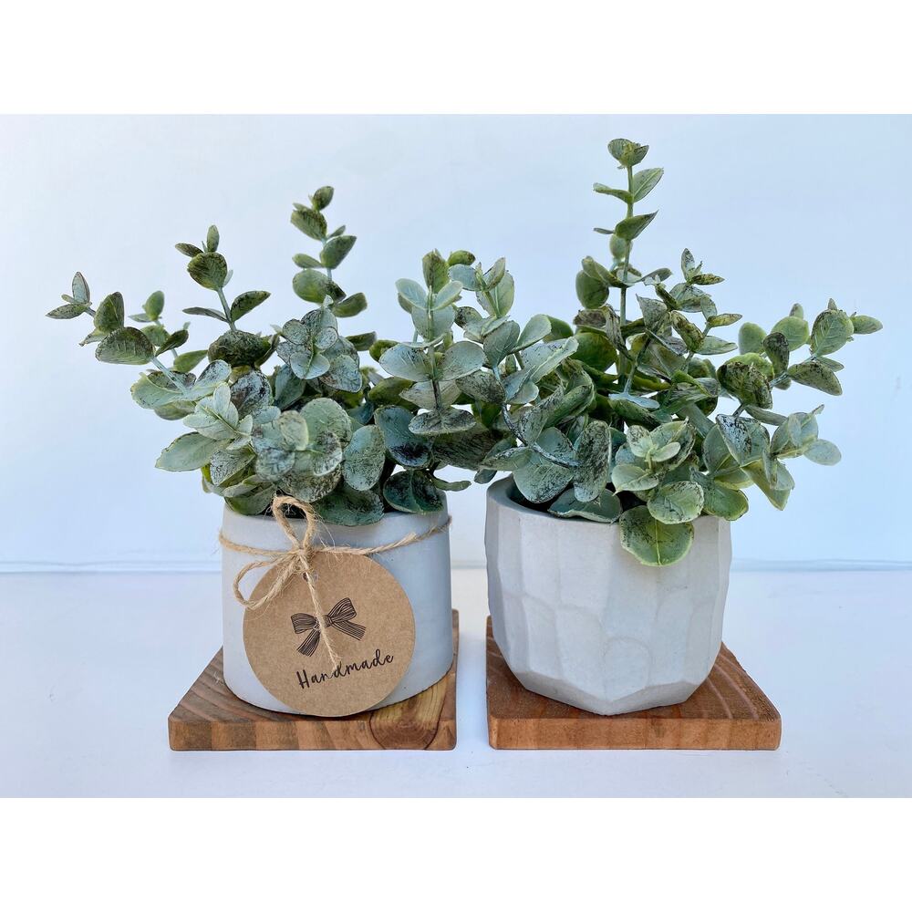 Set of 2 Artificial Eucalyptus Plants in handmade Concrete Pots with Wood Tray